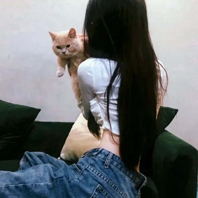 特种业务